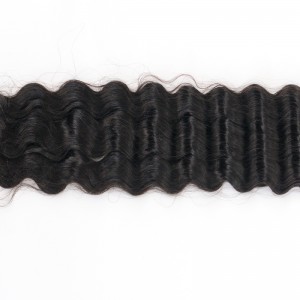 Hair Weft--Crown01